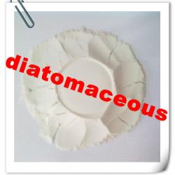 Most professional-diatomaceous earth filler