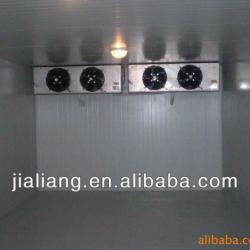 PU foaming panel fabricated cold storage for fish meat