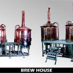 100/ L MICRO BREWERY