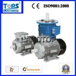 LTP MS Industrial Motor