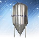 beer fermentor-