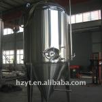 Beer fermenter