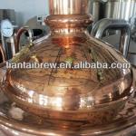 300L Micro Brewery Equipment-