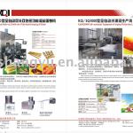 KQ/EG-180 Multi-function Egg Roll Production Line