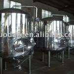 Beer Fermentation Tank