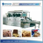 CE proved full automatic wafer production line
