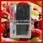 2013 new style gas convection oven with proofer