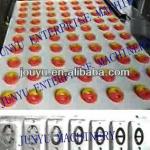 automatic two color cookies shaping machine-