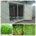 Green bean and Soybean sprout making machine //Automatic Barley Bean Growing Sprouting Machine//0086 13703825271