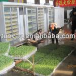 Hydroponics Green Fodder for farm livestock