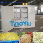Thoyu brand High capacity Mung Bean Sprouting Machine