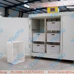 Soya sprout machine automatic working sprout processing machine