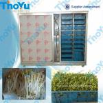 Green bean sprout process machine