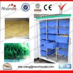 Green Bean Sprouts Machine With 10 Years Warranty