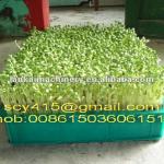 automatic green/yellow/board/soybean bean sprouting machine