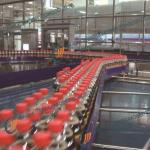 curve belt planar conveyor system for beverage-