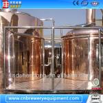 Small Beer Brewery Equipment 500L, Beer Dispenser-