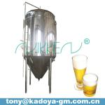 4000L stainless steel brewery ferment bright beer tank-