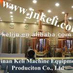 200L micro beer brewing equipment or home beer equipment
