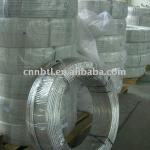 Stainless Steel Coiled Pipes