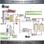 Juice production line for natural/concentrated juice