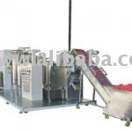 Fresh raw juice plant and processing machine-