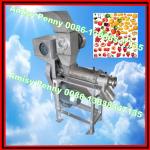 hot sale electric fruit crusher and juicer 0086-13838347135