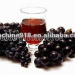 hot sell low cost grape juice extractor 0086 15638185393-