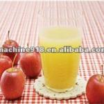 industrial apple juicing extractor less than 600USD 0086 15638185393-
