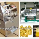 Stainless steel manual and electric ginger juicer/ginger crusher/ginger extractor machine2078-
