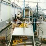 Mango/Orange/Apple Fruit Juice Processing Line