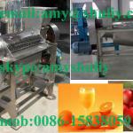 shuliy brand fruit juice making machine//fruit juicing machine//0086-15838059105