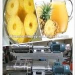 pineapple pulping machine-