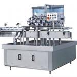 Fully Automatic Bottle Rinser Machine