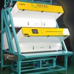 Large capacity black tea ccd color sorter