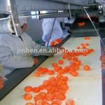 Orange peeling machine-