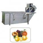 CXJ series washing fruit machine