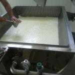 Pasteurizers tanks for cheese and yogurt artisan production