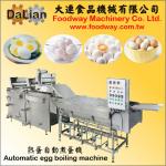 Automatic Egg Boiling Machine