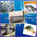 H109 Lowest price automatic stainless steel fish processing equipment/fish cleaning machine/fish scales machine