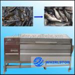 stainless steel automatic flounder scaling machine 4000kg/h