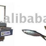 continuous processing machine for fish