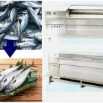 Low cost all tainless steel the fish scales take off machine-