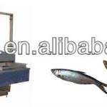 fish automatic frying machine