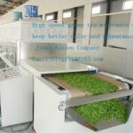 100-1000kg/h industrial used big capacity microwave dryer for vegatables, tea leaf,stevia leaf,moringa,olive leaves