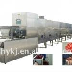 microwave drying equipment