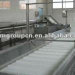 stainless steel belt conveyor system