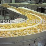 plastic mesh belt food grade conveyor system
