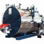 WNS Horizontal Oil Fired Steam Generator