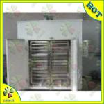 Vegetable and fruit drying machine/Food Drying Machine/vegetable drying machine/dehydration machine
